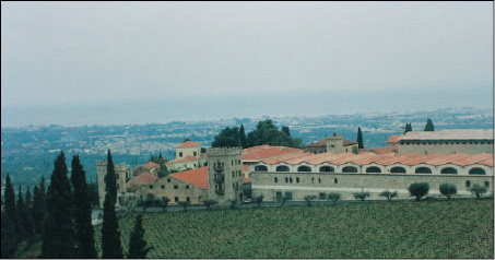  Αμπελώνας και οινοποιείο της εταιρείας Achaia Clauss περιοχής Πατρών (Φωτογραφικό Αρχείο Συνδέσμου Ελληνικών Βιομηχανιών).