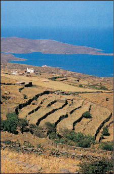 Αναβαθμίδες στη νησιωτική Ελλάδα (Φωτογραφικό Αρχείο του Ελληνικού Οργανισμού Τουρισμού).