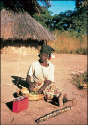 Εικ.8.7α  (Courier της UNESCO, 4/1997).