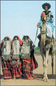 Η πολυγαμία είναι θεμιτή σε μουσουλμανικές κοινωνίες: ο αρχηγός της φυλής Ρασάιντα προσέρχεται σε γάμο με τις τρεις πεπλοφορεμένες γυναίκες του (National Geographic Ελλάδα, τόμος 3, Νο. 5, Νοέμβριος 1999).