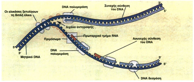 Εικόνα 2.3β