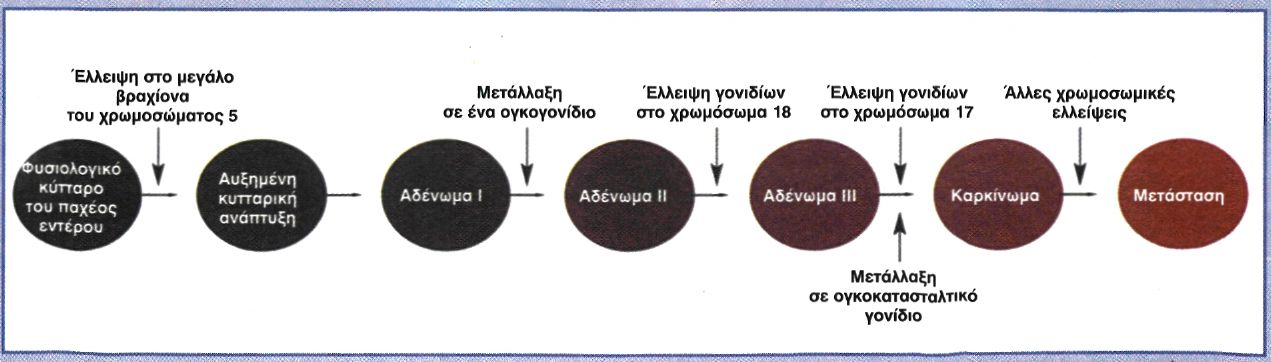 Εικόνα Εικόνα