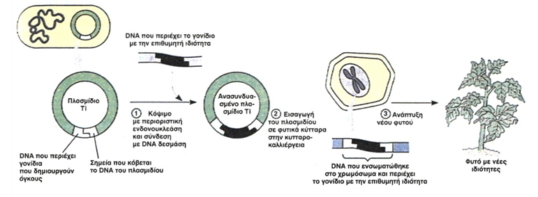 Εικόνα 9.3