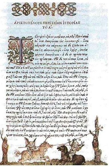 Μικρογραφία του Dürer σε χειρόγραφο έργου του Αριστοτέλη.
(Ρόττερνταμ, Μουσείο Boymans-van Beuningen).