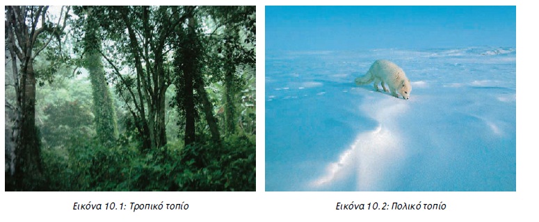 Εικόνα 10.1: Tροπικό τοπίο