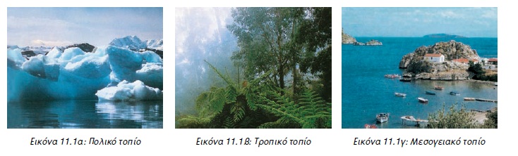 Εικόνα 11.1α: Πολικό τοπίο