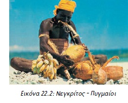 Εικόνα 22.2: Νεγκρίτος - Πυγμαίοι