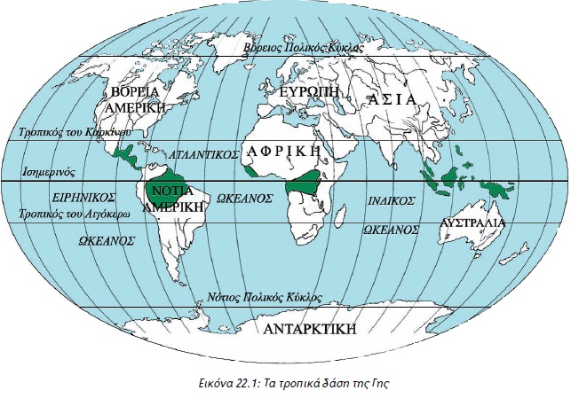 Εικόνα 22.1: Τα τροπικά δάση της Γης