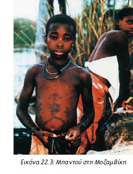 Εικόνα 22.3: Μπαντού στη Μοζαμβίκη