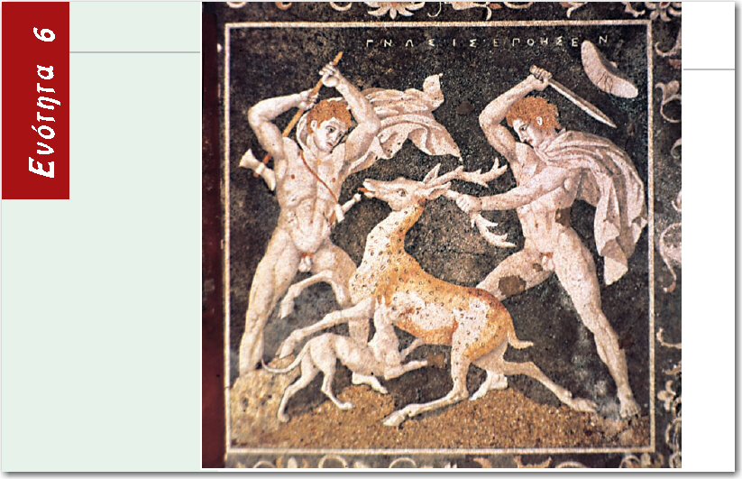 κυνήγι ελαφιού