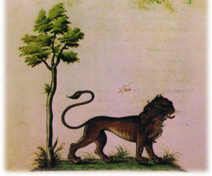 Περί ζώων ιδιότητος