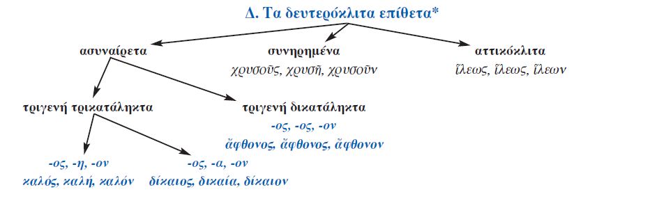 τα δευτερόκλιτα επίθετα