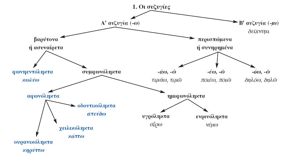οι συζυγίες