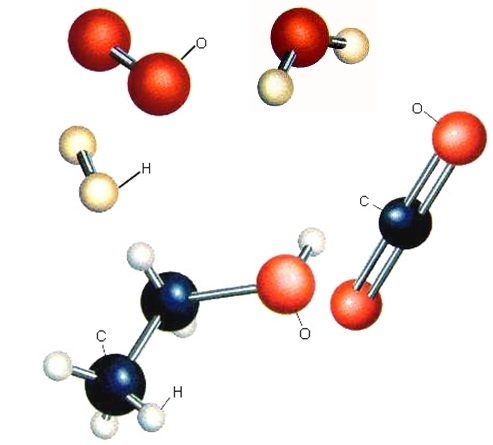 ΣΧΗΜΑ 1.6 Μοριακά μοντέλα των στοιχείων: υδρογόνου (Η2), οξυγόνου (Ο2), και των ενώσεων: νερού (Η2O), διοξειδίου του άνθρακα (CO2) και οινοπνεύματος (C2H5OH).
