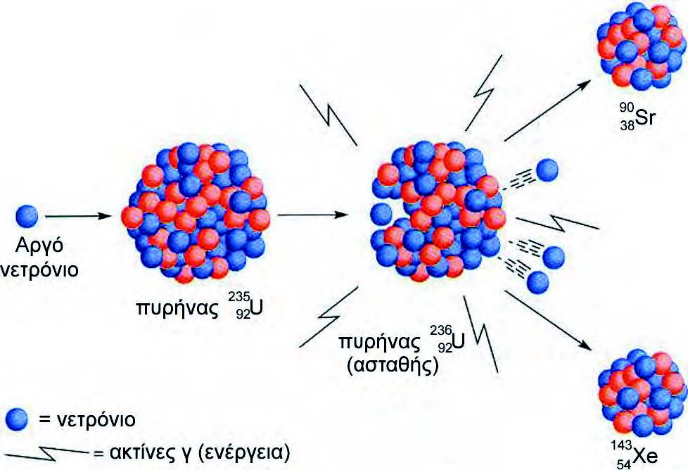 ΣΧΗΜΑ 5. Τεχνητή σχάση του ουρανίου 235, η οποία αποτελεί τη βάση της ατομικής βόμβας που έπεσε στη Χιροσίμα το 1945.