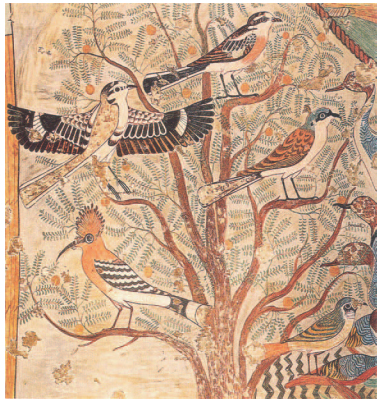 54. Λεπτομέρεια τοιχογραφίας από ταφικό μνημείο 1900 π. Χ. Αίγυπτος. Οι Αιγύπτιοι λάτρευαν τους νεκρούς. Οι τάφοι των επιφανών ανθρώπων ήταν γεμάτοι με τη ζωγραφική όλων εκείνων που πίστευαν ότι θα διατηρήσουν στη ζωή το νεκρό. Οι εικόνες έπρεπε να έχουν απόλυτη σαφήνεια. Το χρώμα τους ήταν επίπεδο με σαφές περίγραμμα. 