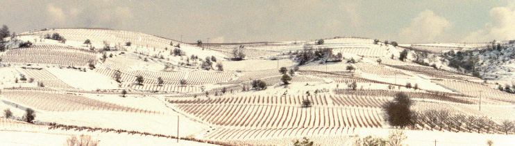 88. Οι αμπελώνες στο χιονισμένο τοπίο γίνονται 
                    αντιληπτοί ως σύνολο σημείων.