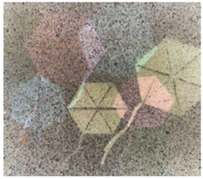 89. « Xαρταετοί» Ελένη Κ. 13 ετών