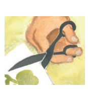 42. Κόψιμο της ζελατίνας