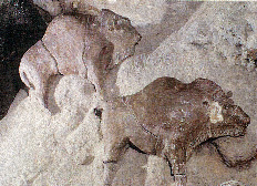 223. «Βίσονες» Γαλλία περ.15 000 π.Χ. πηλός