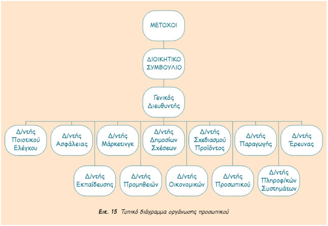 Εικ.15 Τυπικό διάγραμμα οργάνωσης προσωπικού