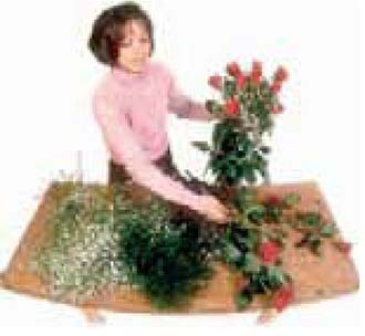 Εικ. 3.3 Αγορά λουλουδιών