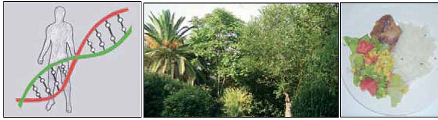 Εικ. 5.1 Τα γονίδια, το περιβάλλον και η διατροφή είναι παράγοντες που επηρεάζουν την υγεία του ανθρώπου