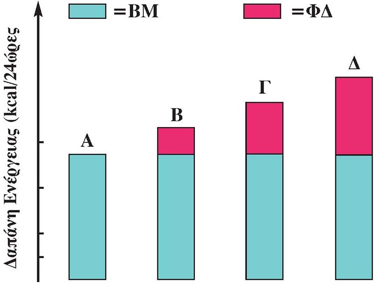 Σχ. 5.1 Σχηματική παράσταση των συνολικών καθημερινών ενεργειακών αναγκών του οργανισμού ως το άθροισμα της ενέργειας για το βασικό μεταβολισμό (ΒΜ) και της ενέργειας για τις φυσικές δραστηριότητες (ΦΑ) (Α = πλήρης ανάπαυση, Β = ελαφριά δραστηριότητα, Γ = μέτρια δραστηριότητα και Α = έντονη δραστηριότητα)