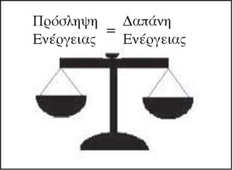 Εικ. 5.4 Στο ισοζύγιο της ενέργειας του οργανισμού η πρόσληψη της ενέργειας βρίσκεται σε ισορροπία με τη δαπάνη ενέργειας