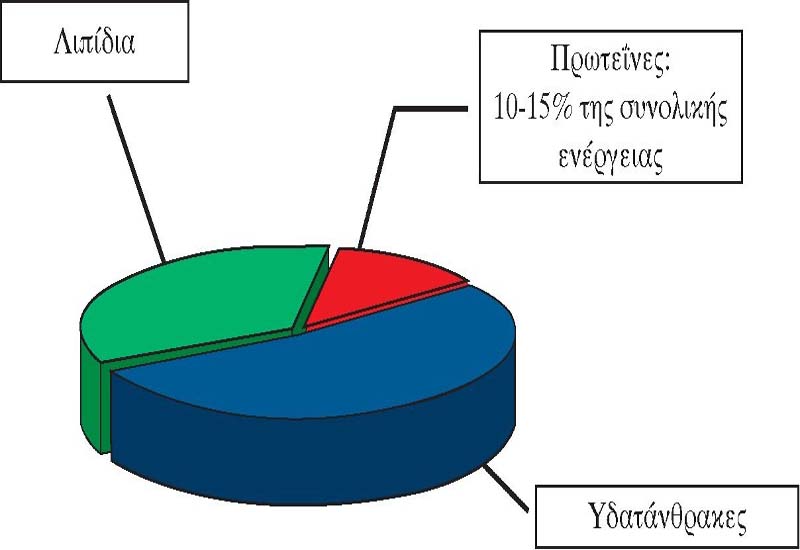 Σχ. 5.2 Οι πρωτεΐνες πρέπει να καλύπτουν το 10-15% των θερμίδων που καταναλώνει ένας ενήλικας