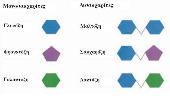 Εικ. 5.10 Παραδείγματα μονοσακχαριτών και δισακχαριτών