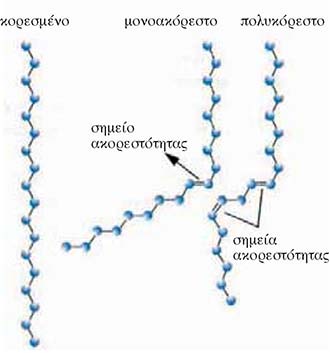 Εικ. 5.16 Κορεσμένο, μονοακόρεστο και πολυακόρεστο λιπαρό οξύ
