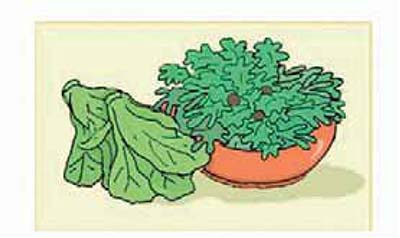 Εικ. 5.19 Τα πράσινα φυλλώδη λαχανικά αποτελούν καλή πηγή φυλλικού οξέος και άλλων βιταμινών