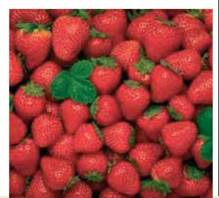 Πηγές: Φράουλες