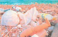 φωτ/φία: Κανάρης Τσίγκανος