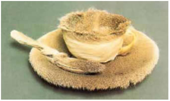 5. Μέρετ Οπενχάιμ, «Αντικείμενο», 1936.