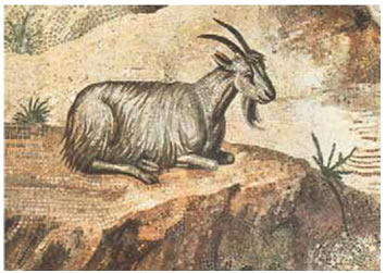 3. Ρωμαϊκό ψηφιδωτό από τη βίλα του Αδριανού στο Τίβολι, 2ου π.Χ. αι.