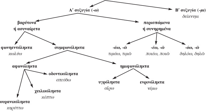 Οι συζυγίες