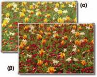 Το χρώμα αλλάζει με το φως