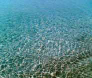 Το θαλασσινό νερό περιέχει και αλάτι.