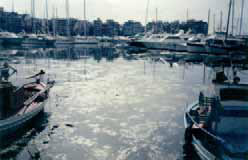 Ρύπανση στη θάλασσα