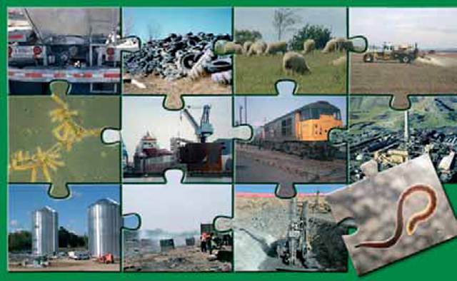 Πολλές ανθρώπινες δραστηριότητες ρυπαίνουν τα νερά