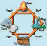 Ο συνδυασμός των τεσσάρων στοιχείων ...