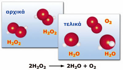 Το υπεροξείδιο του υδρογόνου δίνει νερό και οξυγόνο