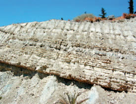 Τομή του εδάφου