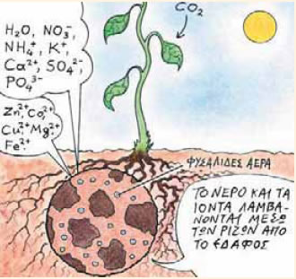 εικόνα