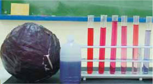 Διαλύματα οξέων με δείκτη «κόκκινο» λάχανο