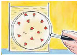 Aπό ένα δισεκατομμύριο μόρια νερού μόνο τέσσερα δίνουν