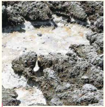 Aλτόγουρνα Kυθήρων: μια πρωτόγονη αλυκή