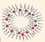 Σχηματική αναπαράσταση της